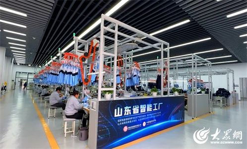 濰坊市濰城區數轉智改助推工業高質量發展